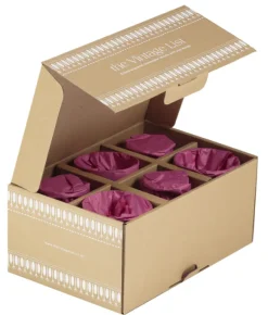 6 stk | Ovals Champagneskål