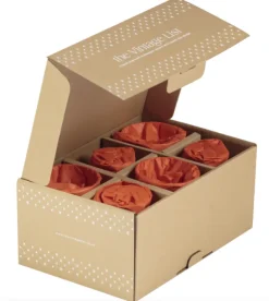 1 stk | Stars Tumbler