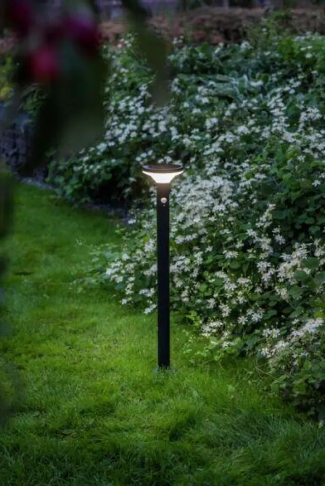 Arlo pullert Utendørs, Solcelle -85cm