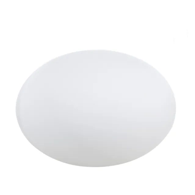 Eggy Pop – Utelampe