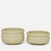 Legacy Boller mini, pistachio -2pk