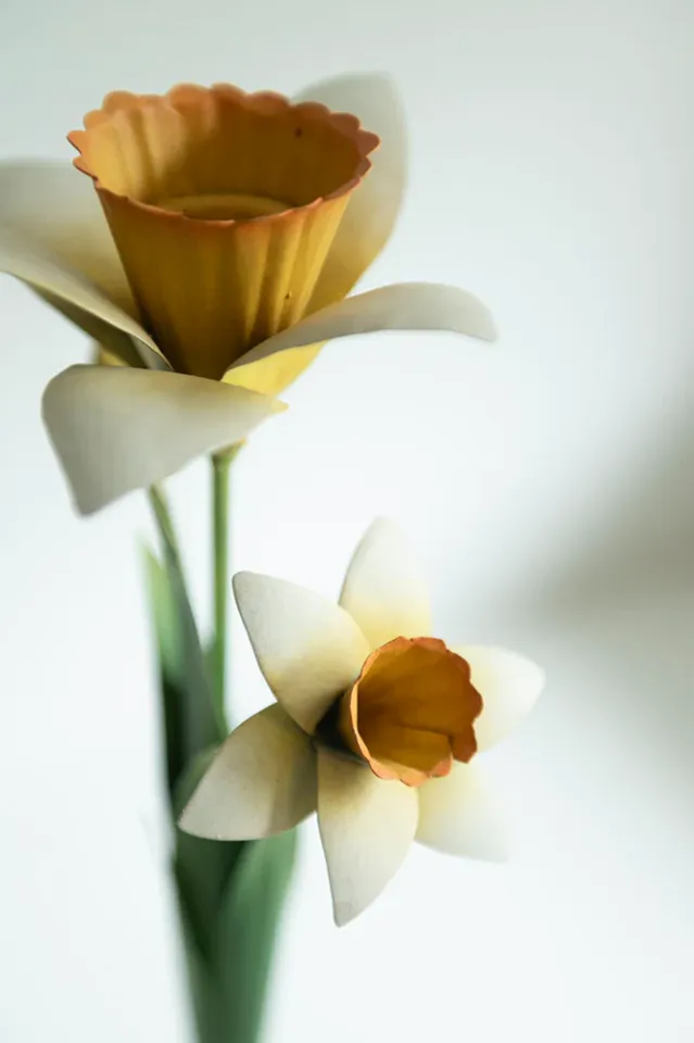 Lysestake – Daffodil Straw, 26cm