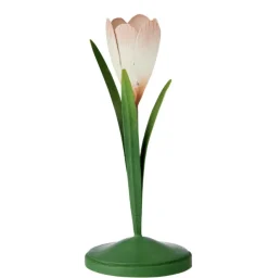 Lysestake -Crocus Powder