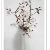 Poster -Natur -Spring Flower 1