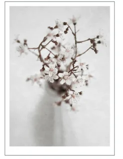Poster -Natur -Spring Flower 1