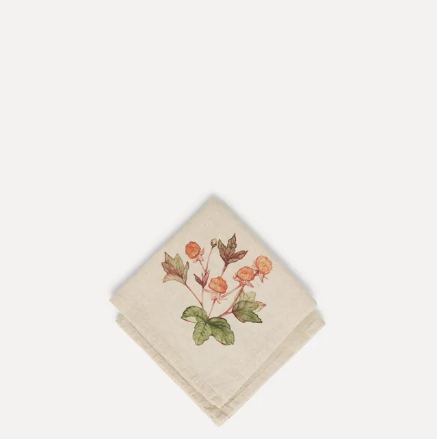 Servietter – Multe, 2pk