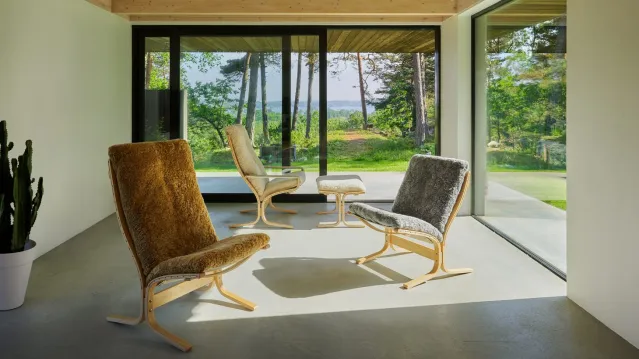 Siesta Ovis – maple