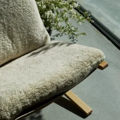 Siesta Ovis – moonlight