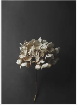 Still Life 04 50 x 70 cm