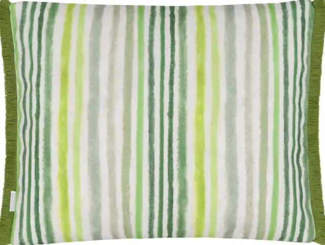 Utepute – Pompano Grass